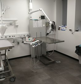 Billede fra klinikken 