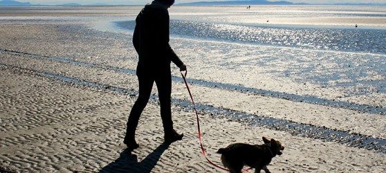 Person går tur med hund i snor på en strand 
